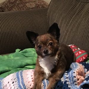 Meet your Posher, Beth